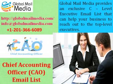 Chief Accounting Officer (CAO) Email List