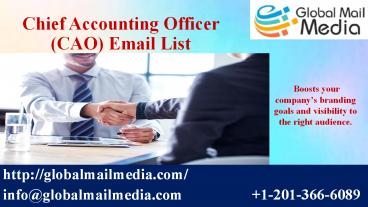 Chief Accounting Officer (CAO) Email List
