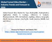 fumed silica market