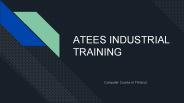 Atees Industrial Training