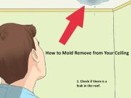 How to Mold Remove from Your Ceiling