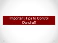 Important Tips to Control Dandruff PowerPoint PPT Presentation