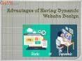 Advantages of Having Dynamic Website Design PowerPoint PPT Presentation