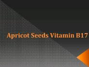 Apricot Seeds Vitamin B-17
