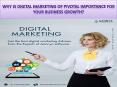 Why is digital marketing of pivotal importance for your business growth? PowerPoint PPT Presentation