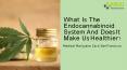 What Is The Endocannabinoid System And Does It Make Us Healthier? (1) PowerPoint PPT Presentation