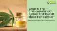 What Is The Endocannabinoid System And Does It Make Us Healthier? PowerPoint PPT Presentation