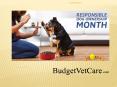 Responsible Dog Ownership Month: Being A Responsible Pet Parent | BudgetVetCare PowerPoint PPT Presentation