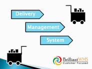 Delivery management system