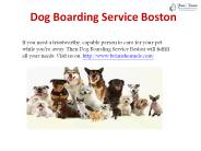 Dog Training Boston