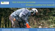 Tree Surgeon in Glasgow