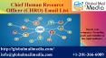 Chief Human Resource Officer (CHRO) Email List PowerPoint PPT Presentation