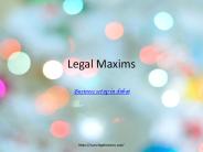 Legal Consultants