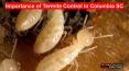 Importance of Termite Control in Columbia SC PowerPoint PPT Presentation