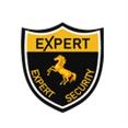 ExpertSecurity PowerPoint PPT Presentation