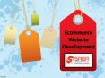 Web Development Services in Hyderabad, Ecommerce Website Development in Hyderabad – Saga Biz Solutions PowerPoint PPT Presentation