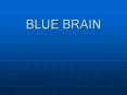 Blue Brain Ppt for BCA seminar PowerPoint PPT Presentation