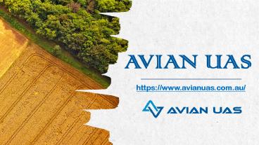 Aerial Photography Services | Avian UAS
