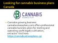 cannabis retail businessplan Canada PowerPoint PPT Presentation