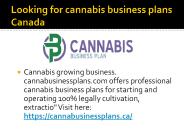 cannabis retail businessplan Canada