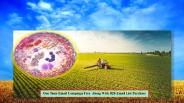 International Conference on Agricultural And Biological Systems Engineering
