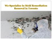 We Specialize In Mold Remediation Removal in Toronto