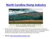 cbdoil extraction lab business plan