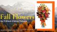 Fall Flowers By Trillium Florist Canada PowerPoint PPT Presentation