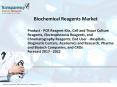 Biochemical Reagents Market by Product, End User & Forecast - 2022 PowerPoint PPT Presentation
