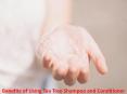 Benefits of Using Tea Tree Shampoo and Conditioner PowerPoint PPT Presentation