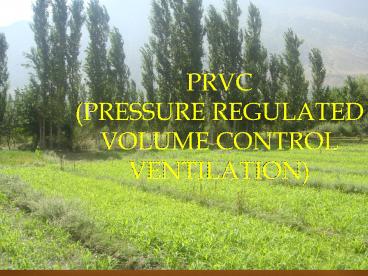 presentation player overlay