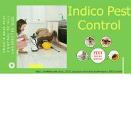 Top Pest Control in Uttam Nagar