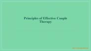 Principles of Effective Couple Therapy