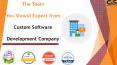 The Team You Should Expect from Custom Software Development Company PowerPoint PPT Presentation
