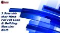 3 Steroids that Work For Fat Loss & Building Muscles Both PowerPoint PPT Presentation