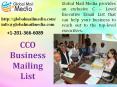 CCO Business Mailing List PowerPoint PPT Presentation