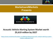 Acoustic Vehicle Alerting System Market