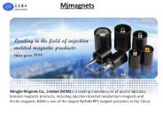 Best injection cerimic magnets supplied by China