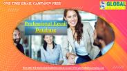 Professional Email Database