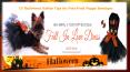 10 Halloween Safety Tips for Pets-Posh Puppy Boutique PowerPoint PPT Presentation