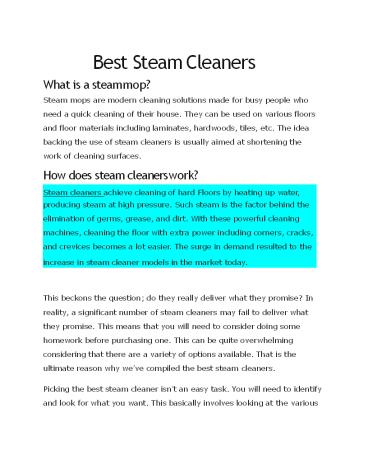 Best Steam Cleaners