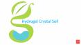 Hydrogel Crystal Soil PowerPoint PPT Presentation