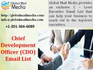 Chief Development Officer (CDO) Email List (1)