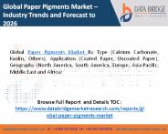 Global paper pigments market
