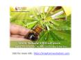 100% Natural CBD Store Online PowerPoint PPT Presentation