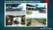 wine tasting tours
