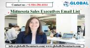 Minnesota Sales Executives Email List
