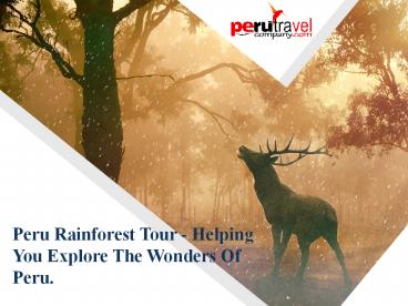 PPT – Peru Rainforest Tour - Helping You Explore The Wonders Of Peru ...