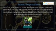 Collection of Lightweight Electric Wheelchairs