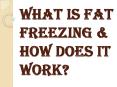 Why You Should Opt For Fat Freezing Training? PowerPoint PPT Presentation
